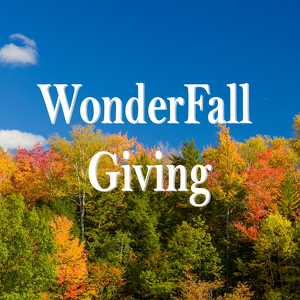 WonderFall Giving